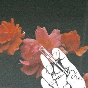 幼儿草草儿童网
